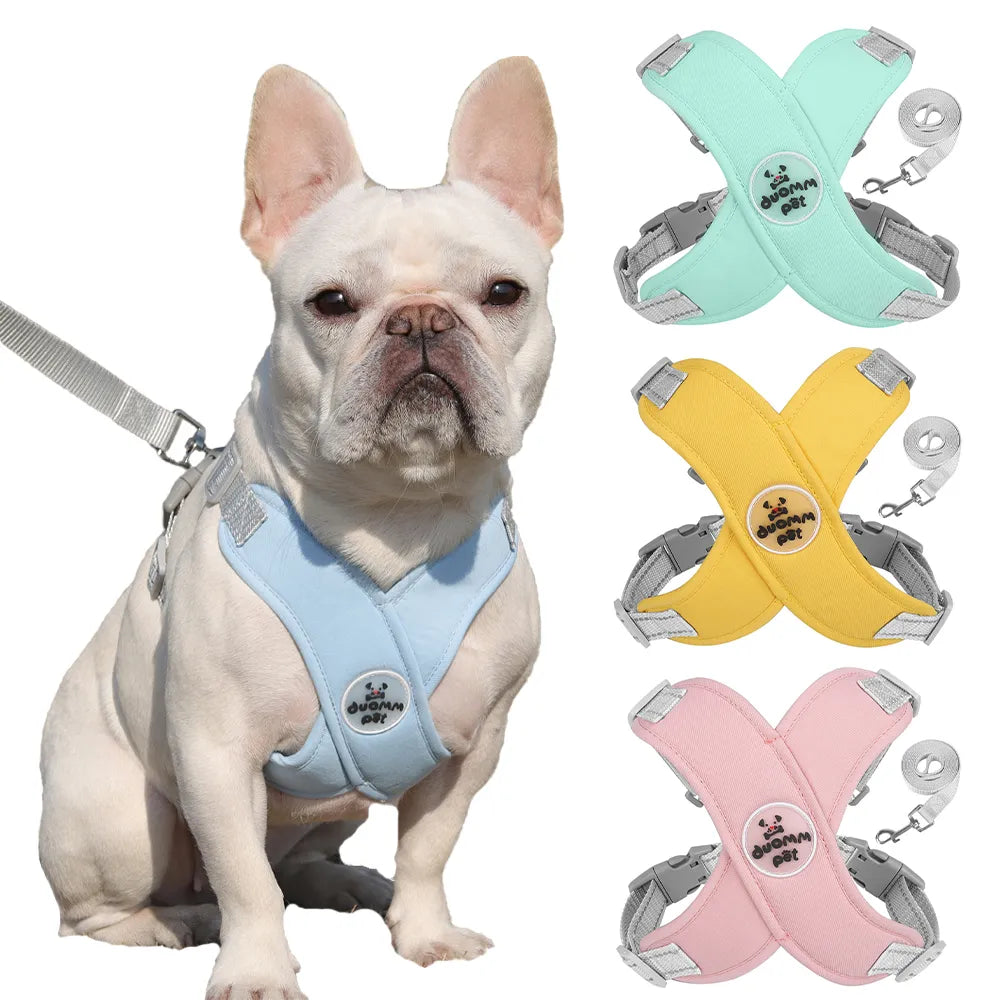 Kit Guia e Peitoral Duomm | Para Cachorro e Gato