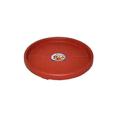 Prato com Rodas Marrom Skate Okla 35cm