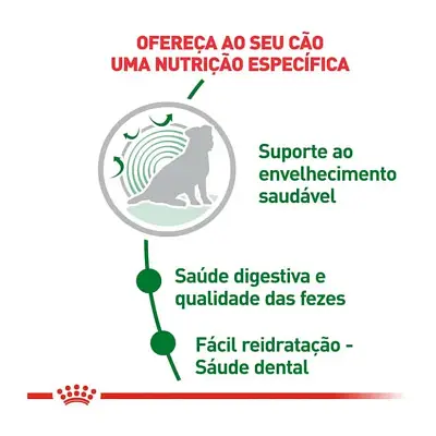 Ração Cães Royal Canin Mini Indoor Senior 1kg