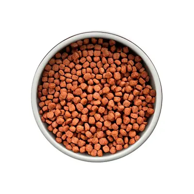 Ração Guabi Natural Cães Filhotes Raças Médias Frango e Arroz Integral 15kg
