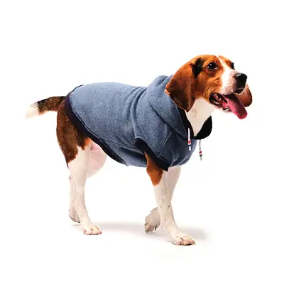 Roupa Cães Tutelo Moletom Comfy Azul M