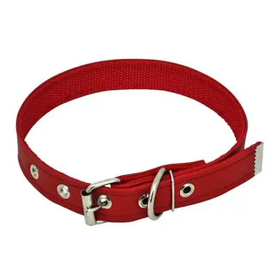 Coleira Cães Corino São Pet Reforçada Vermelha Tamanho 1