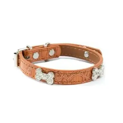 Coleira Cães The Pets Fashion Bone Strass M