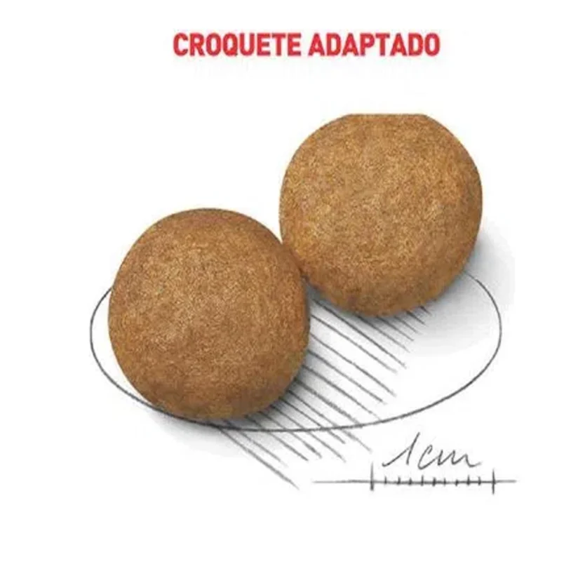Ração Cães Royal Canin Medium Adultos 15kg