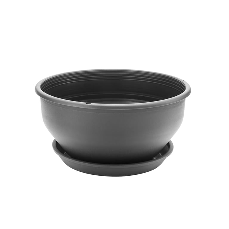 Vaso com Prato Desli Cuia Preto