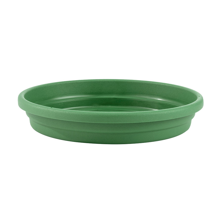 Prato Desli Para Vasos Verde