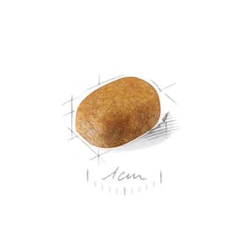 Ração Cães Royal Canin Maltes Puppy 1kg