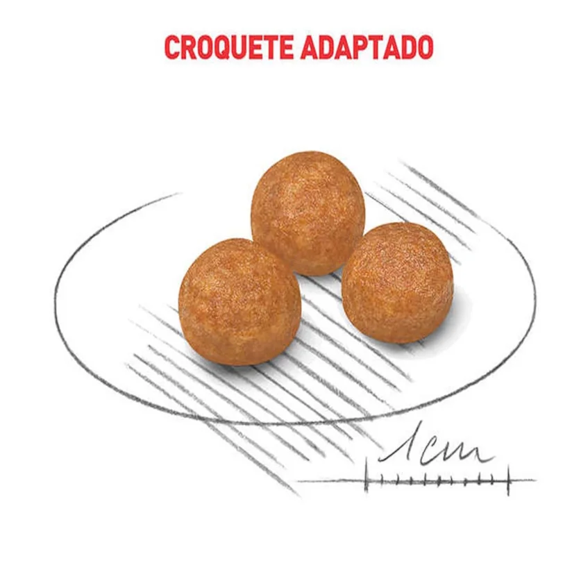 Ração Cães Royal Canin X-Small Adultos 8+ 2,5kg