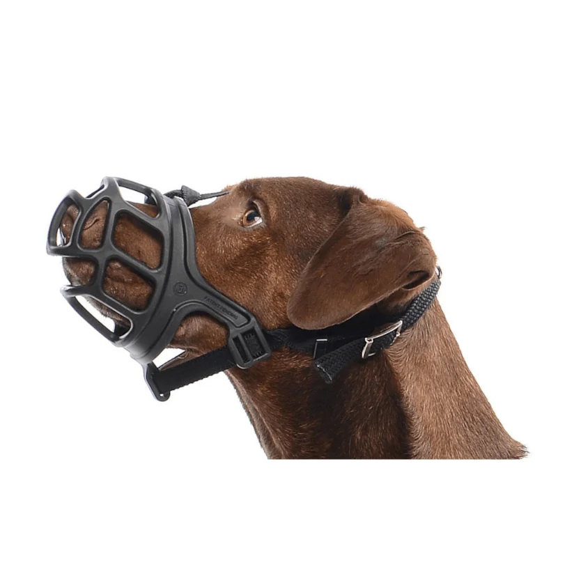 Focinheira Para Cães Kruuse Nº 1