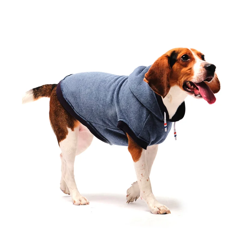 Roupa Cães Tutelo Moletom Comfy Azul PP