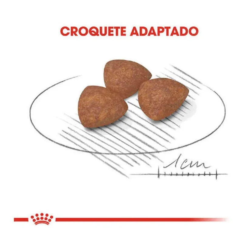 Ração Cães Royal Canin Mini Indoor Puppy Jr.7,5kg