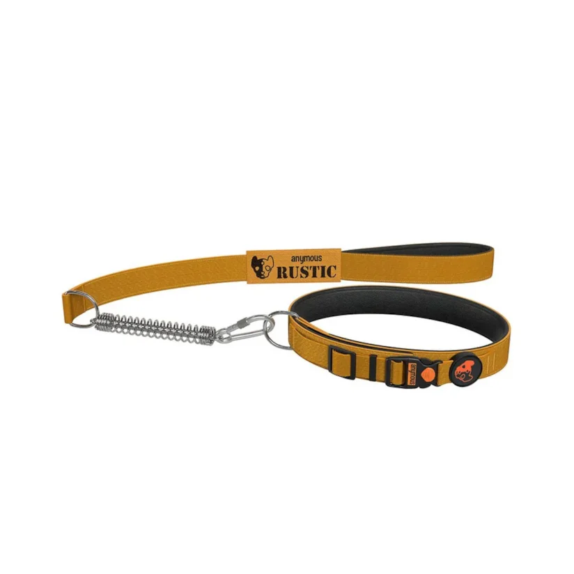 Coleira Com Guia Para Cães Anymous Rustic Kaqui P