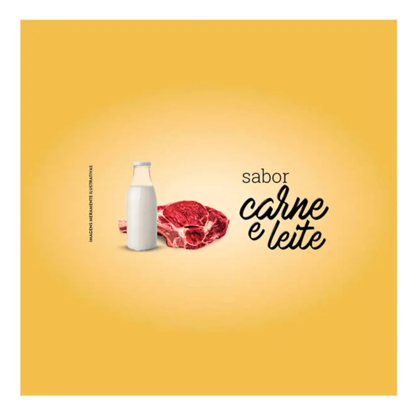 Ração Quatree Gourmet Gatos Filhotes 1kg